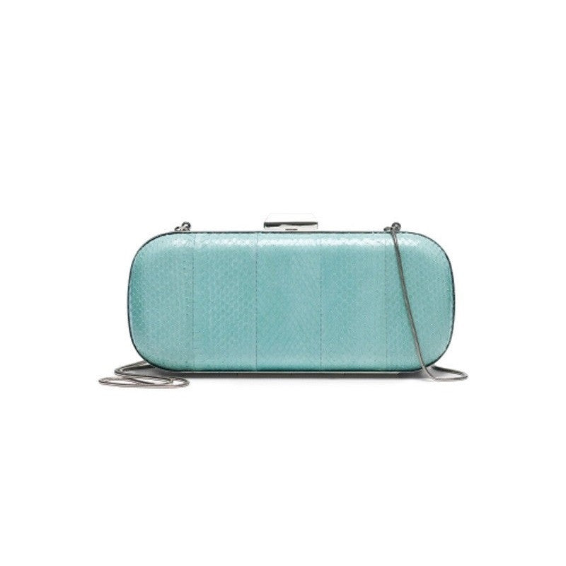 Club Monaco Mint Taylor Minaudière Clutch